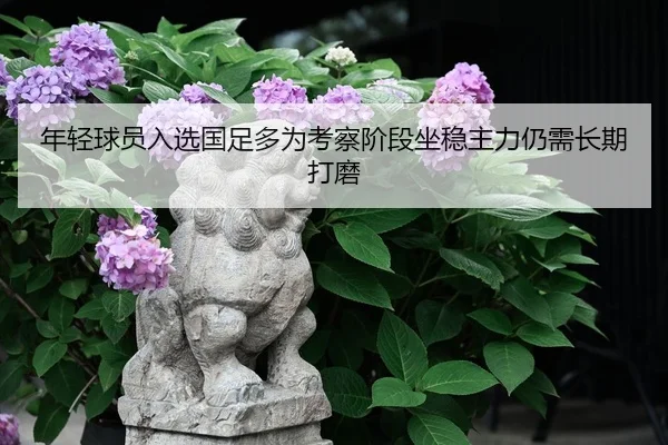 年轻球员入选国足多为考察阶段坐稳主力仍需长期打磨